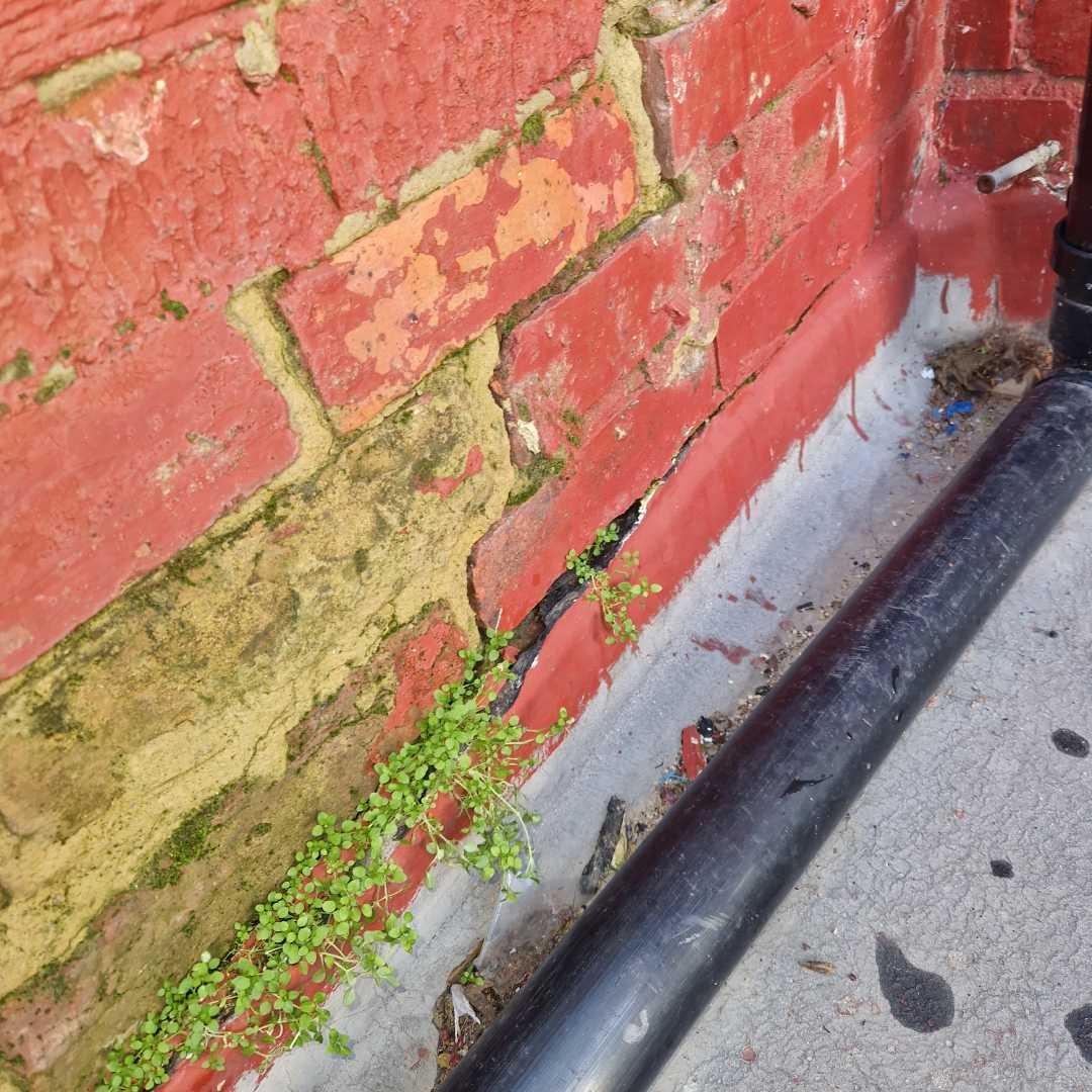 Damaged painted brickwork and waterproofing at the base of the balcony wall above the shop